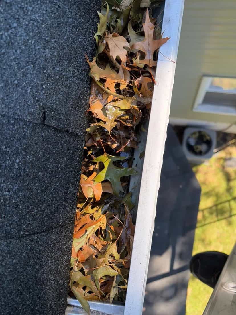 Gutter packed with brown oak leaves beside a roof edge