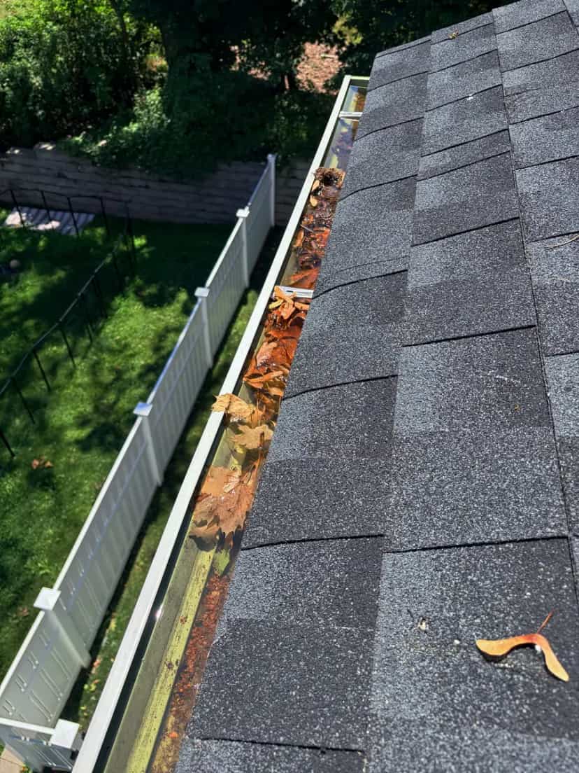 Gutter with leaves and debris along a shingle roof edge above a fenced yard