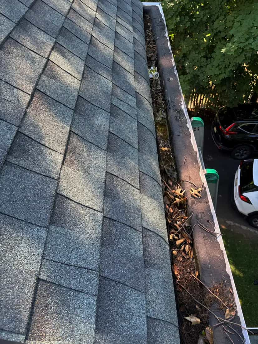 Gutter lined with leaves and debris along a grey shingle roof