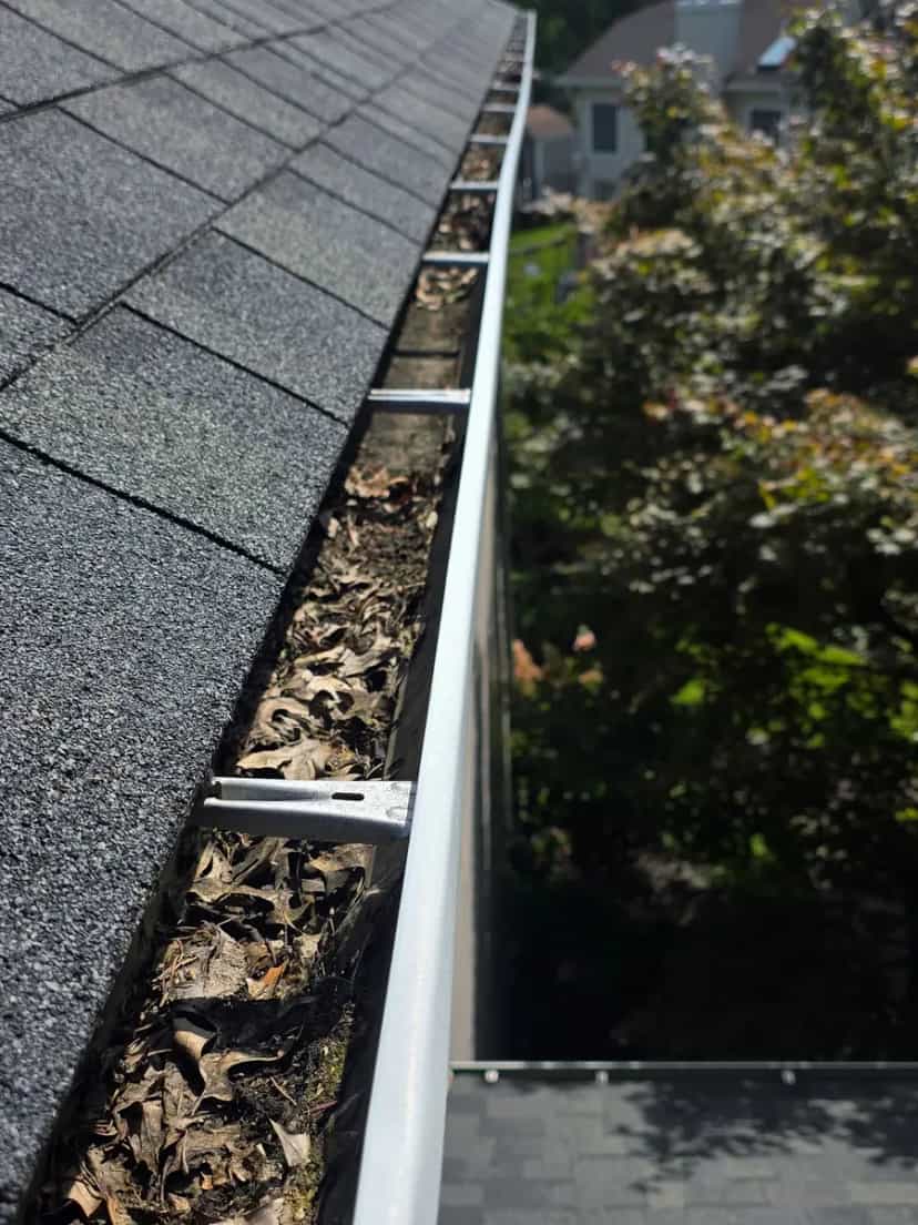 Gutter filled with leaves and debris along a shingle roof edge