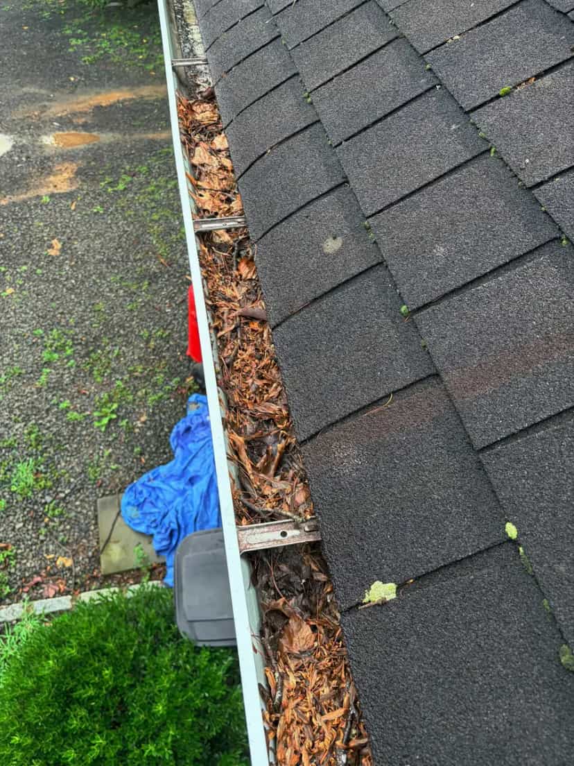 Gutter lined with leaves and shingle grit along a roof edge