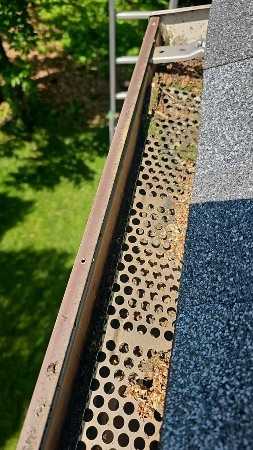 Brown perforated gutter guard with leaf debris and moss on top and clogging the holes