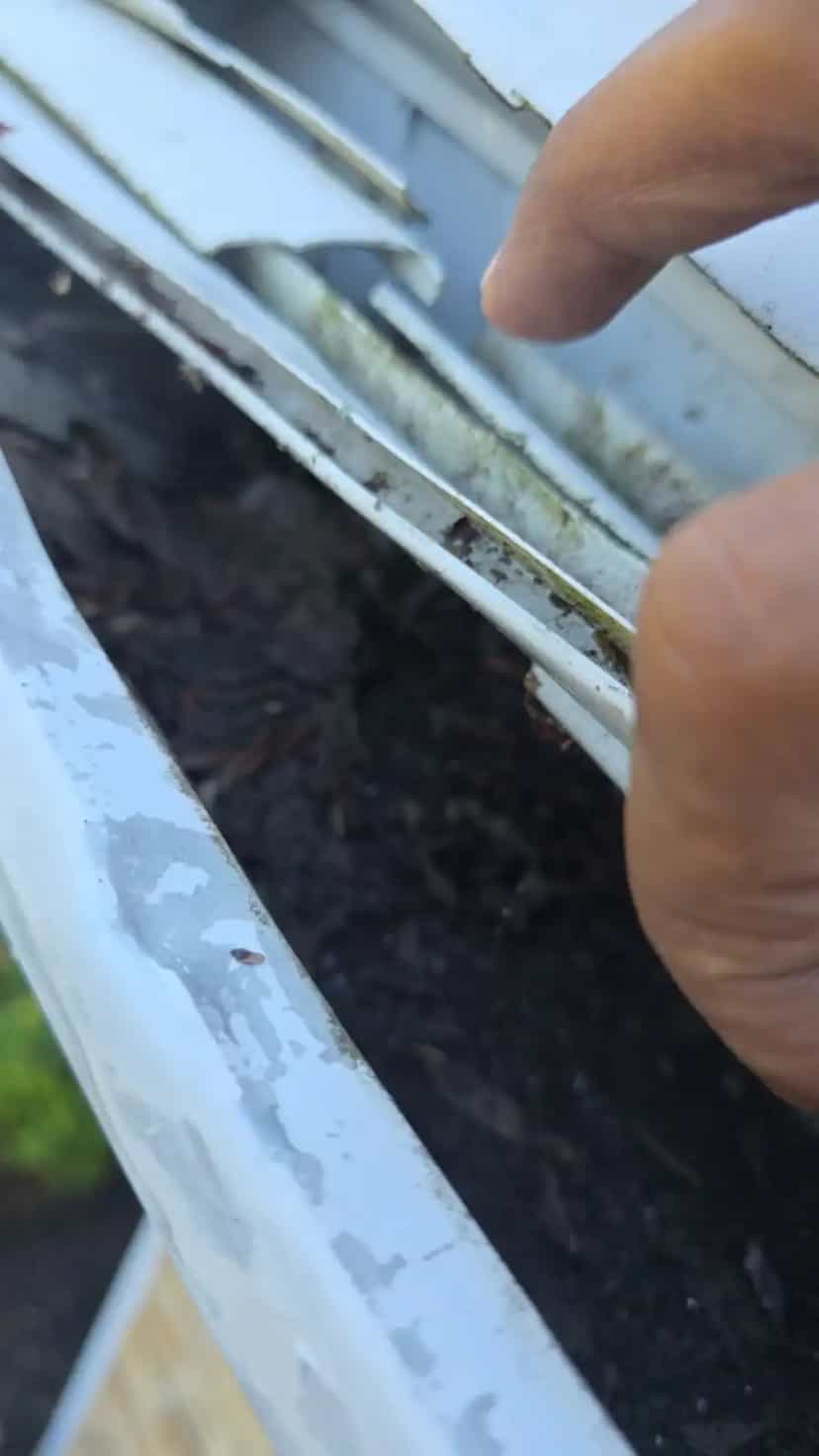 Fingers lifting a white gutter cover to show black, composted debris packed underneath