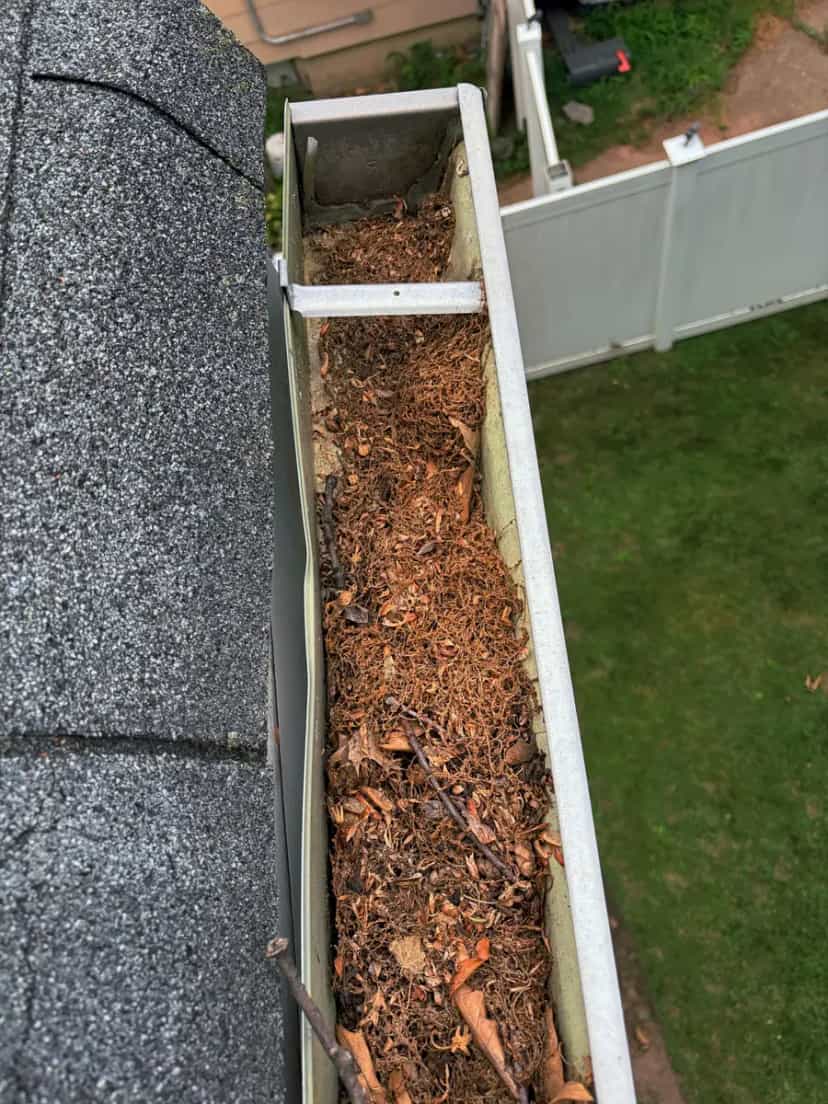 Gutter packed with leaves, twigs and debris along a roof edge