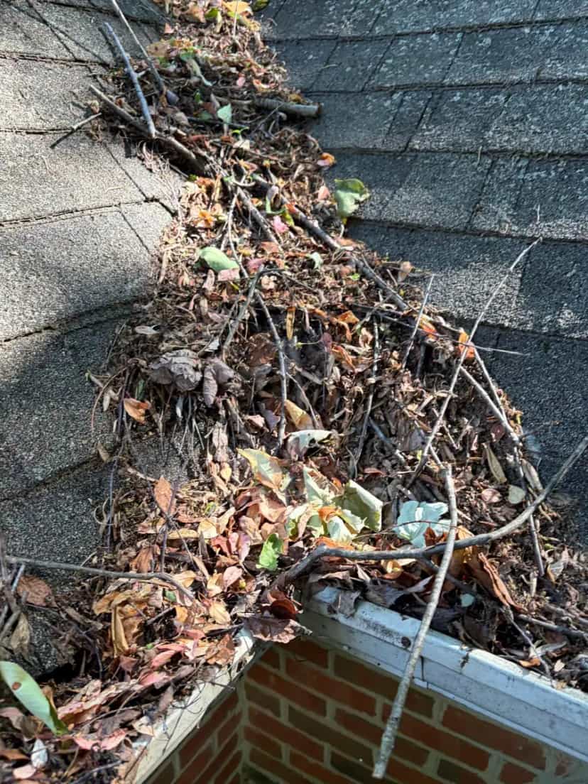 Gutter and roof valley packed with sticks and leaves above a brick wall