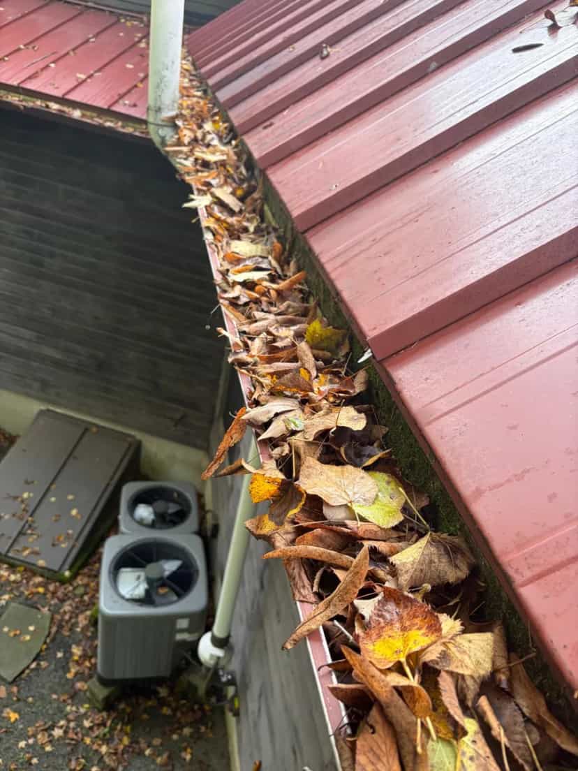 Gutter on a red metal roof overflowing with yellow fall leaves