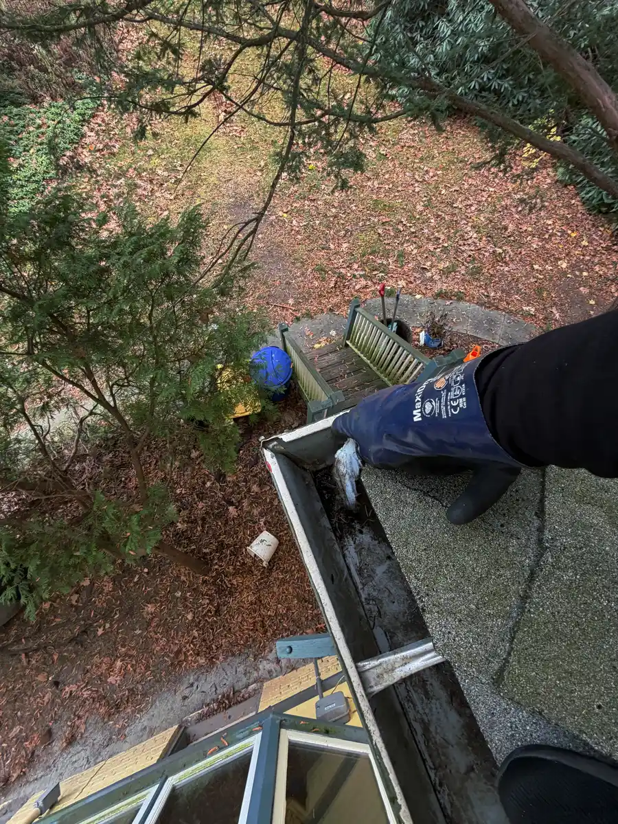Gloved hand pulling debris out of a gutter at the corner of a roof edge, backyard below