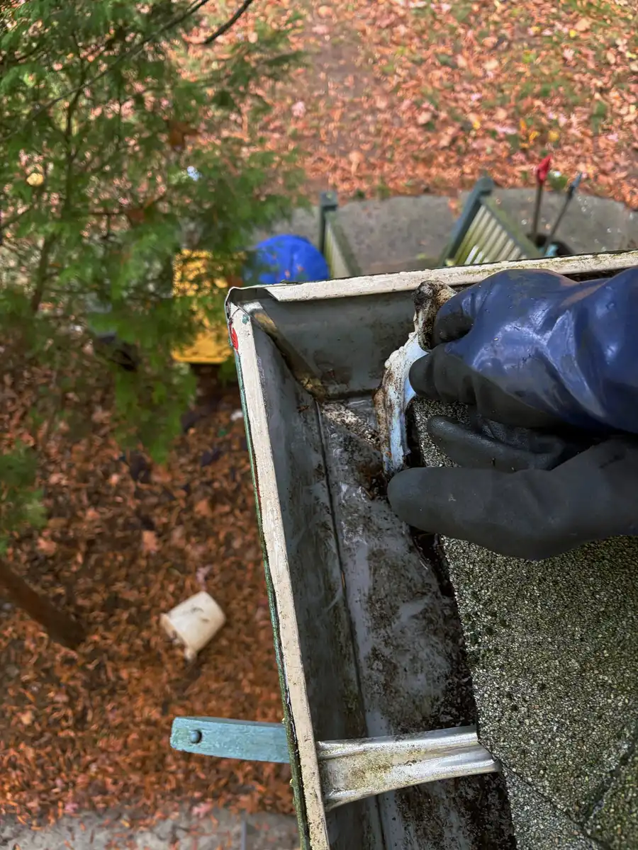 Black-gloved hand pulling debris and a dried clump out of a gutter at a roof corner