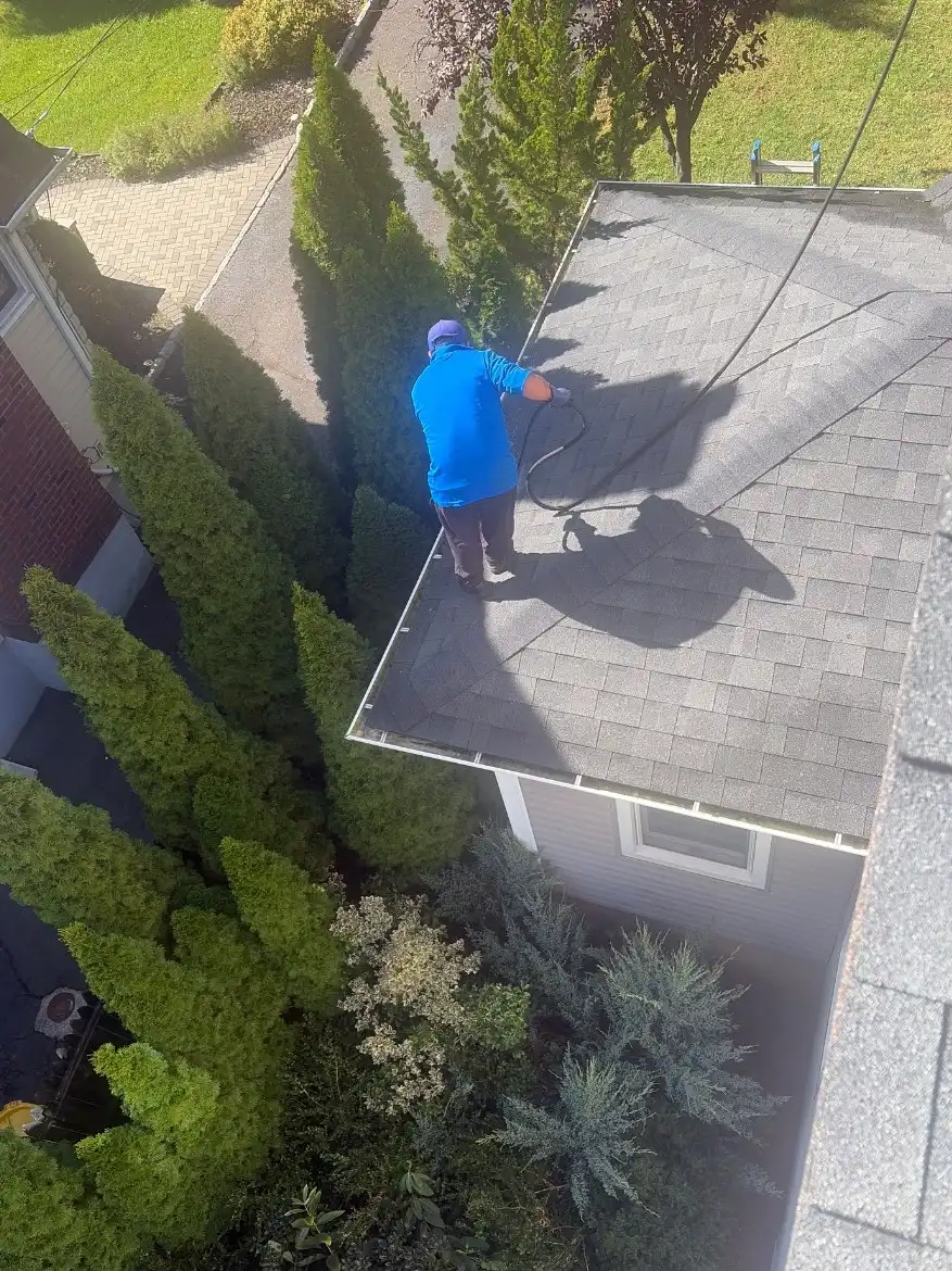 Crew member in a blue shirt working on a small roof among evergreen shrubs, seen from above