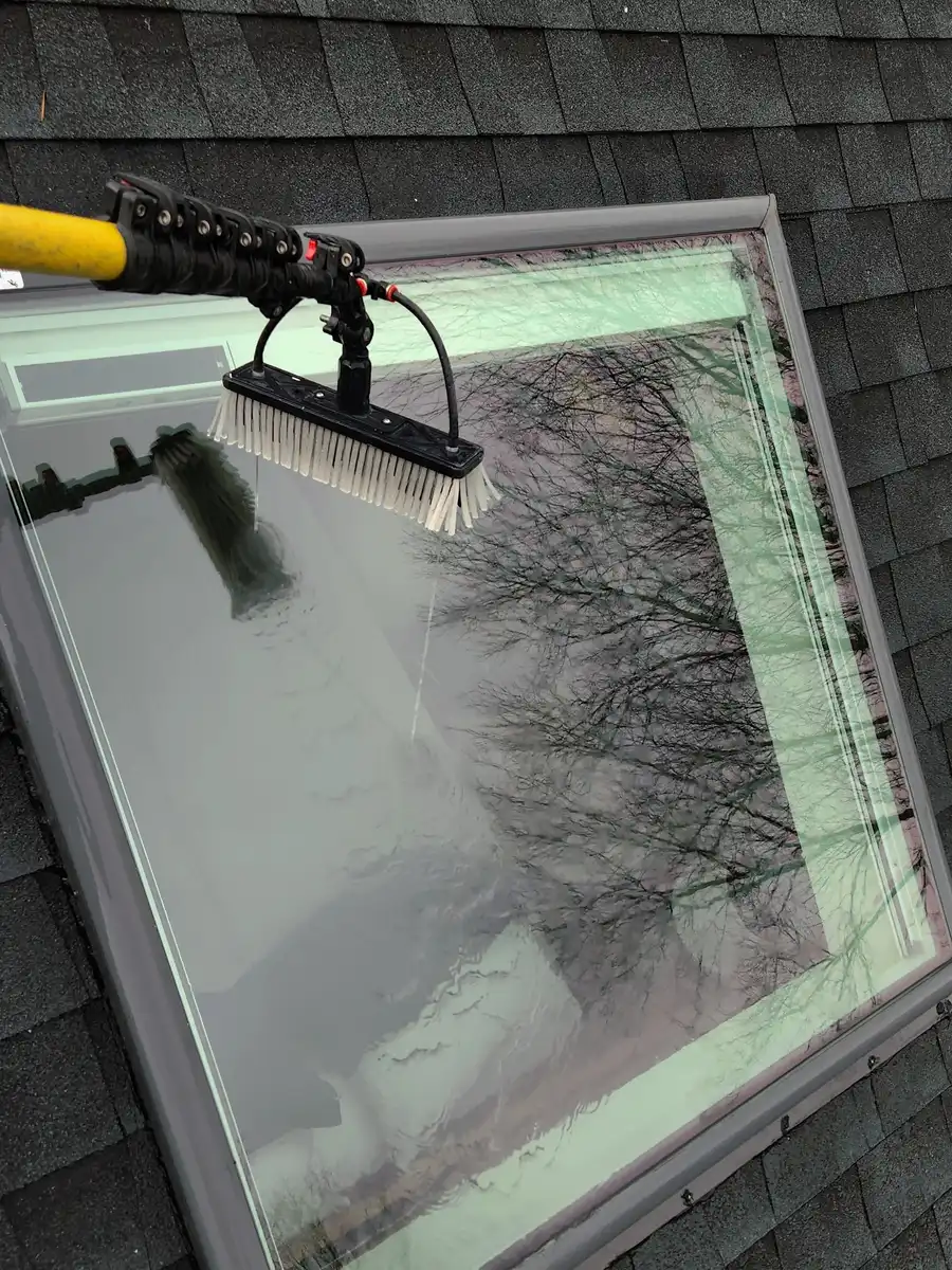Water-fed pole brush cleaning a roof window on a shingle roof