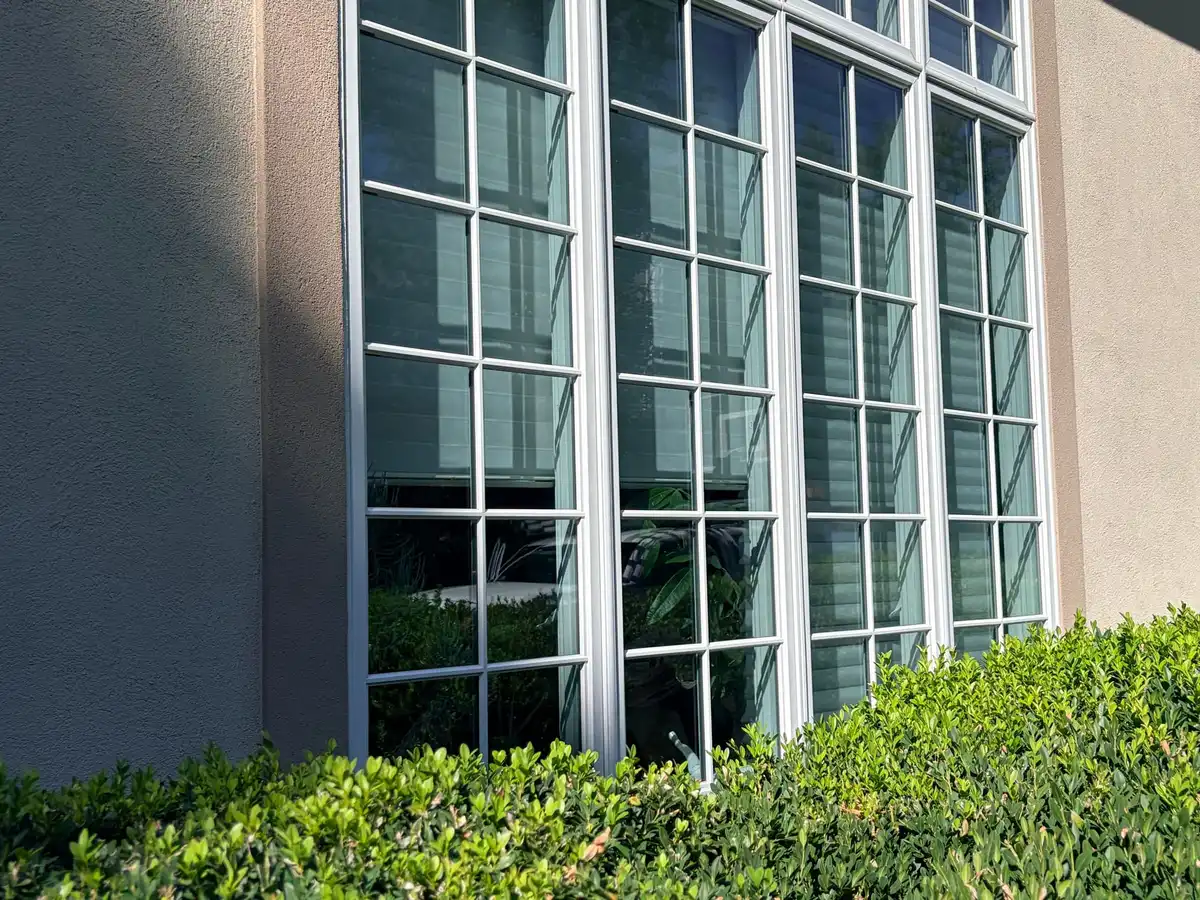 Tall grid-pane windows on a stucco wall, freshly cleaned, above a hedge