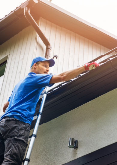Gutter Cleaning