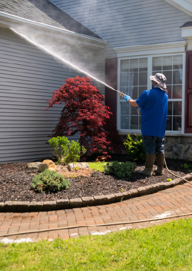 Siding Cleaning